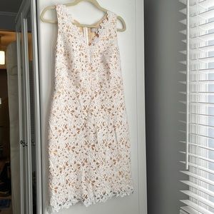 Ann Taylor LOFT lace crochet dress